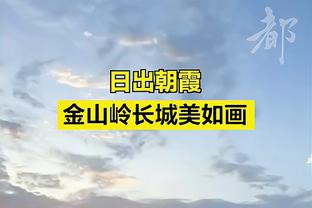 黄蜂主帅：米西奇了解场上每个人的位置 他是一名很棒的传球手